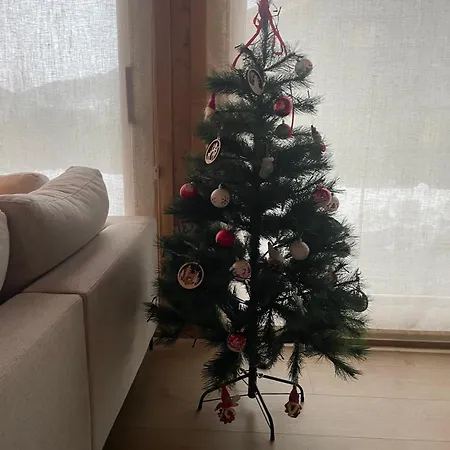 En La Cerdanya Latour-de-Carol